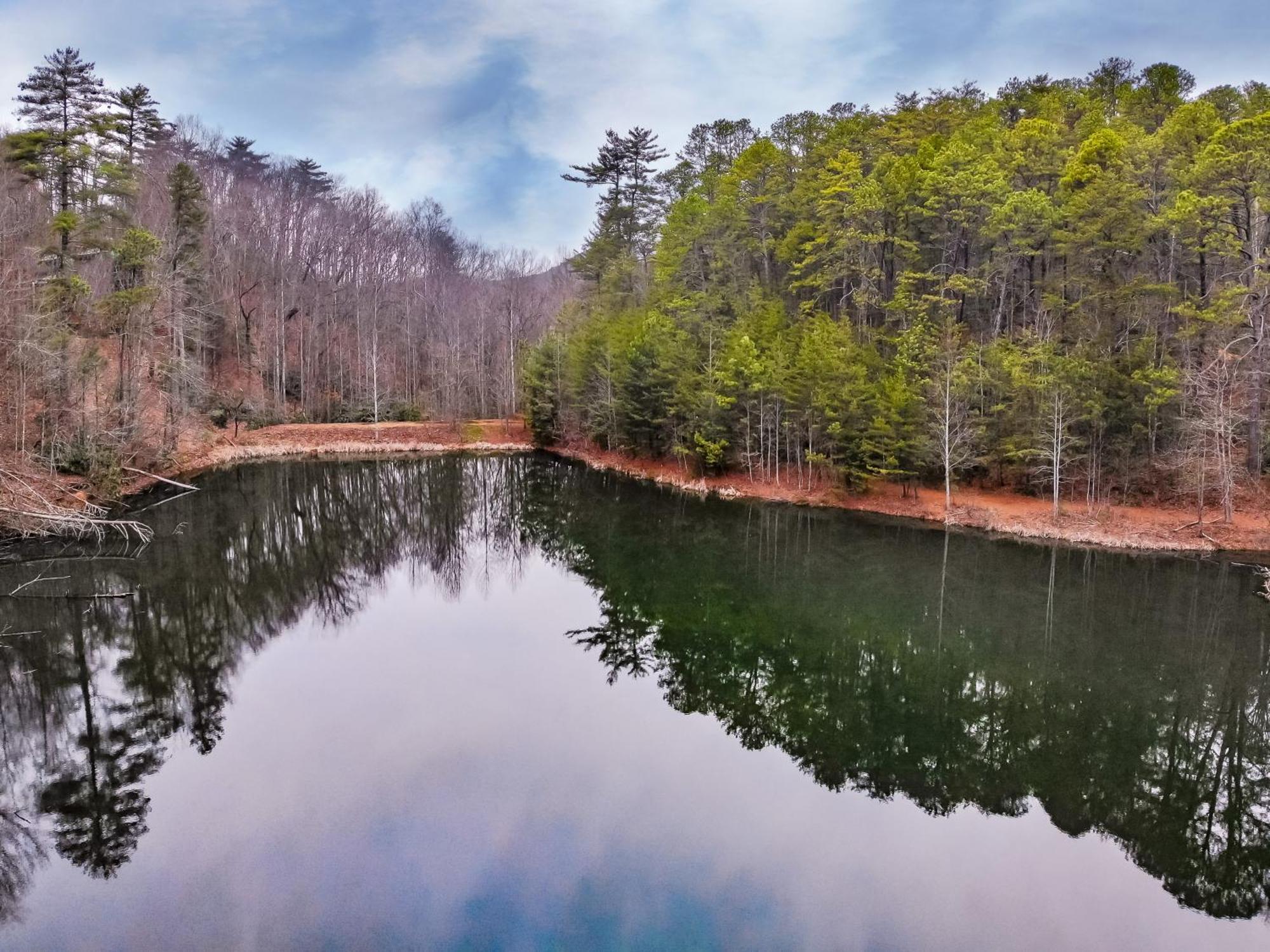 טאונסנד Alpine Joy-Hot Tub, Pond Access ,1089 Of Free Tickets For Each Paid Day, Dollywood And More! חדר תמונה