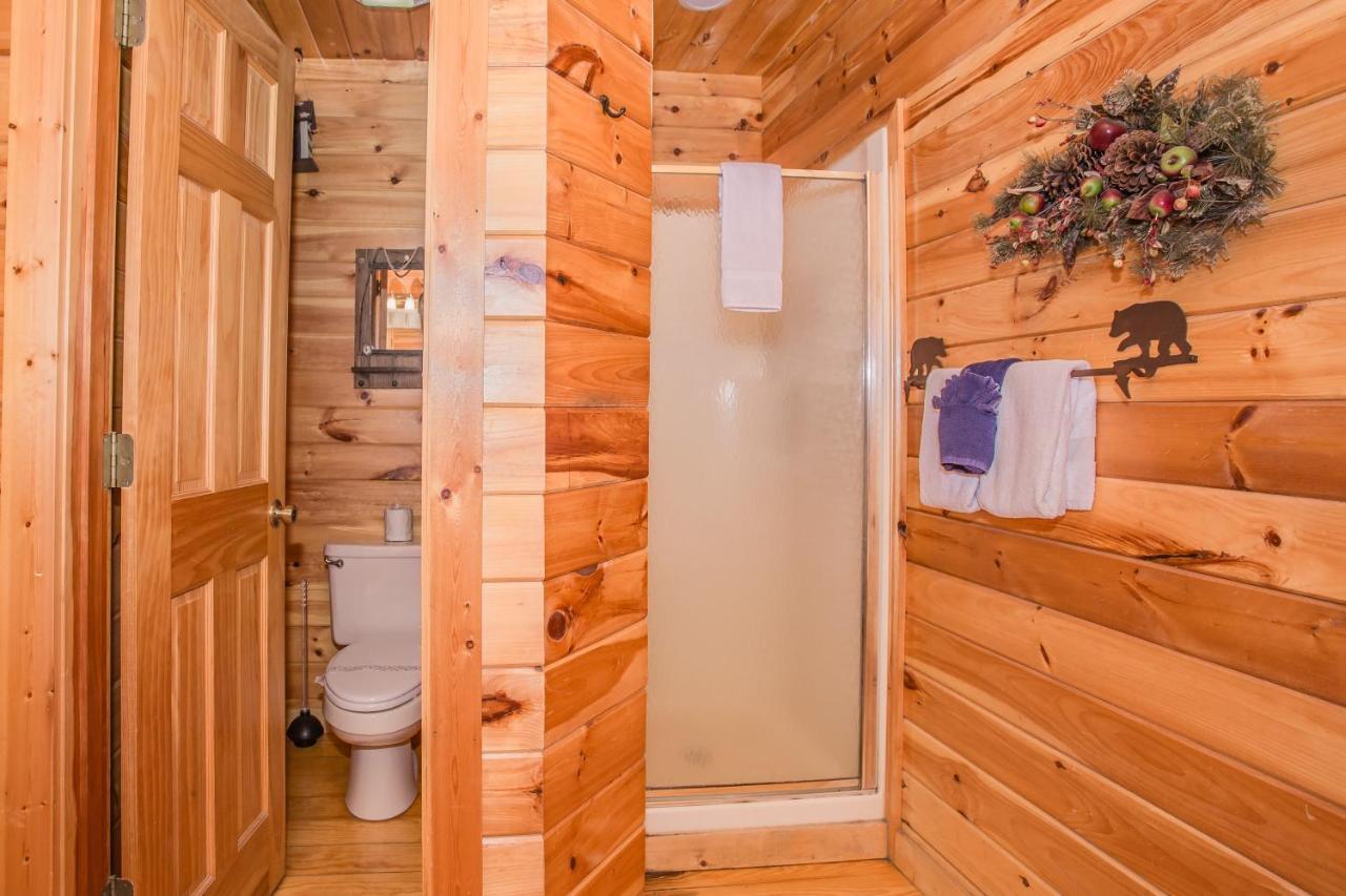 טאונסנד Alpine Joy-Hot Tub, Pond Access ,1089 Of Free Tickets For Each Paid Day, Dollywood And More! מראה חיצוני תמונה